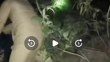 चकराता: बास्तिल रोड पर दर्दनाक हादसे में खाई में गिरने से एक व्यक्ति की हुई मौत