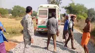 बोडला: ग्राम टकटोईया में एक महिला को अज्ञात जहरीले सांप ने काटा, उपचार हेतु पंडरिया अस्पताल में भर्ती कराया गया