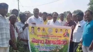 పొలం పిలుస్తోంది'లో రైతులకు యూరియా వాడకంపై ఏవో సూచన