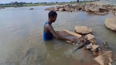 फरसाबहार: नदी की रेत में सोना तलाशते ग्रामीण, दिनभर की मजदूरी मिलती है