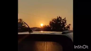 रायसेन: रायसेन में पाँच दिन से कड़ाके की ठंड, सुबह कोहरे की धुंध छाई, पेड़-पौधों पर ओस की बूंदें