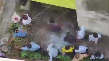 करवीर: कोल्हापुरात भरवस्तीत बिबट्या घुसल्याने एकच खळबळ, वनकर्मचाऱ्यांनी गुंगीचे इंजेक्शन देऊन बिबट्याला घेतलं ताब्यात