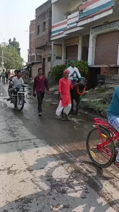 #lalufans dumra Sitamarhi