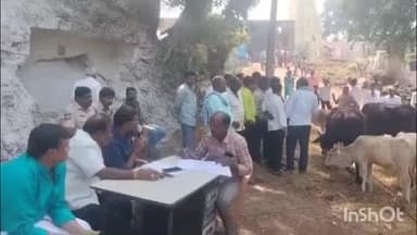 వికారాబాద్: అనంతపద్మనాభ స్వామి జాతర సందర్భంగా మొక్కుబడి వచ్చిన కోడె దూడల బహిరంగ వేలం