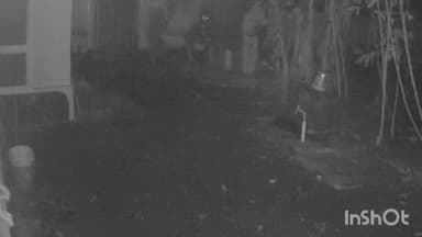 അടൂര്: കൊടുമൺ ഐക്കാട് പ്രദേശത്ത് മോഷണം