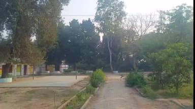 मड़िहान: मड़िहान की पटेहरा कला के आधा दर्जन स्कूलों के ऊपर से हाई टेंशन तार नहीं हटे, डीएम के आदेश के बावजूद नहीं हटाए गए तार