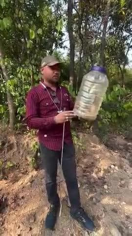 उदयपुर धरमजयगढ़: रायगढ़ एनिमल रेस्क्यू टीम के धर्मेंद्र सिंह राजपूत ने डोमी नाग कोबरा को जंगल में सुरक्षित छोड़ा