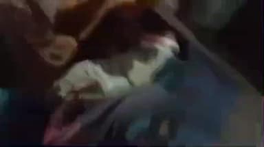 खागा: खेमकरनपुर गांव में पीपल की डाल टूटकर गिरने से 11 वर्षीय किशोर की मौत, बाइक सवार युवक घायल, नजदीकी अस्पताल में भर्ती