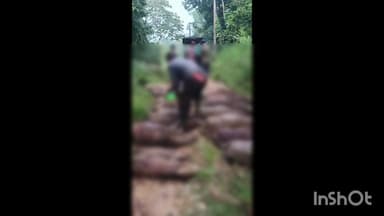 പട്ടാമ്പി: പരുതൂർ പഞ്ചായത്തിന്റെ വിവിധ ഇടങ്ങളിൽ നിന്നും 17 കാട്ടുപന്നികളെ വെടിവെച്ചുകൊന്നു