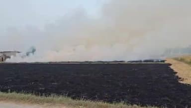 ਫਾਜ਼ਿਲਕਾ: ਪਿੰਡ ਕਾਂਵਾਵਾਲੀ ਦੇ ਨੇੜੇ ਝੋਨੇ ਦੀ ਪਰਾਲੀ ਨੂੰ ਲੱਗੀ ਅੱਗ ਆਸਮਾਨ ਚ ਫੈਲਿਆ ਧੂੰਆਂ