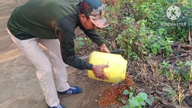 নিতুড়িয়া: নিতুড়িয়ার একাধিক গ্রামে আবগারি দফতর অভিযান চালিয়ে ১০লিটার চোলাই মদ ও ১২০লিটার তরল বাজেয়াপ্ত করল