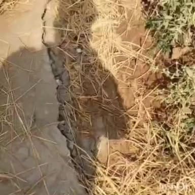 कोरबा: सड़क टूटी तो सरपंच जुटे सफाई में, व्हाट्सएप स्टेटस पर दिया बयान- 'रोड ठीक है, अफवाह में न रहें'