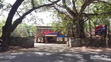 പട്ടാമ്പി: കൂറ്റനാട് പ്രയാഗയ്ക്ക് സമീപം ബൈക്ക് മറിഞ്ഞ് രണ്ട് പേർക്ക് പരിക്ക്, ഒരാളുടെ നില ഗുരുതരം