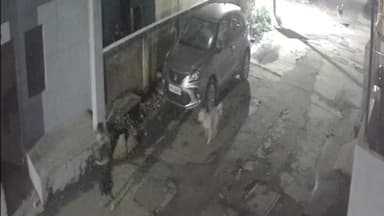 रतलाम नगर: रतलाम: सैलाना बस स्टैंड पर बाइक सवार कुत्ते से डरा, सीसीटीवी में कैद हुई हैरान कर देने वाली तस्वीरें