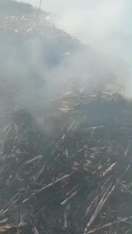 ఉరవకొండ: బ్రాహ్మణపల్లి వద్ద విద్యుత్ తీగల తగిలి ట్రాక్టర్ లోని పశుగ్రాసానికి మంటలు