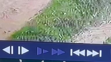 संपतचक: संपतचक उज्जवल सिटी के फ्लैट में चोरों ने चंद घंटों में चार लाख और ज्वेलरी लूटी, CCTV में कैद हुई घटना