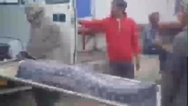 हरदा: भादूगांव में सर्पदंश से महिला की मौत, मक्का के खेत में काम करते समय सांप ने काटा