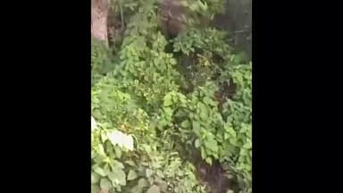 ঝালদা ১: ঝাড়খন্ড বেঙ্গল সীমান্তের কুকড়ু এলাকায় বুনো হাতির দল, এলাকায় চাঞ্চল্য