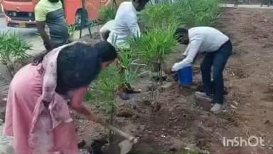 पनवेल: पनवेल महानगरपालिकेच्या उद्यान विभागाकडून बांबू लागवडीला सुरूवात,महापालिका करणार २ हजार बांबू रोपांची लागवड
पनवेल – पर्य