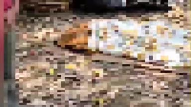 ভাঙড় ১: মানসিক ভারসাম্যহীন এক অজ্ঞাত পরিচয় এর মহিলার মৃত্যুতে শোকাহত স্থানীয়রা সব দাহ করার জন্য উদ্যোগ বোদরা অঞ্চল সভাপতি