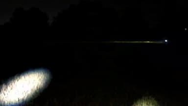 ପରଜଙ୍ଗ: ମୁକ୍ତାପଶି ଗାଁ ନିକଟ ଚାଷ ଜମିରେ ଜଙ୍ଗଲି ହାତୀଙ୍କ ଉପଦ୍ରବ ଚିନ୍ତାରେ ଚାଷୀ