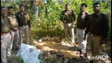 सावनेर: जटाम खोरा व वडोना येथे अवैधरीत्या मोहा फुल गावठी दारू काढणाऱ्या आरोपीतांवर पोलिसांची कारवाई