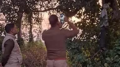 तरबगंज: तरबगंज के चंदीपुर स्थित बाग में फंदे से लटकता मिला अधेड़ का शव, आत्महत्या की आशंका