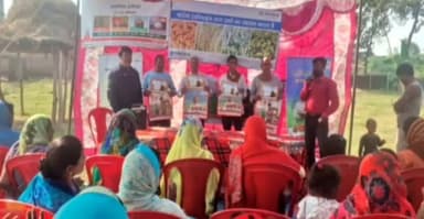 इचाक: पायोनियर 27 पी 37 शंकर धान: हर साल बेमिसाल, किसानों की पहली पसंद