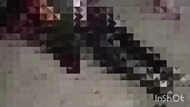 छिबरामऊ: घिलोई में तेज रफ्तार ट्रक ने बाइक में मारी टक्कर, एक युवक की मौके पर हुई दर्दनाक मौत, दूसरा गंभीर रूप से घायल