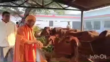 तुलसीपुर: जिले में प्रवास के दूसरे दिन मुख्यमंत्री योगी आदित्यनाथ ने देवी पाटन शक्तिपीठ पर गौशाला में की गौ सेवा