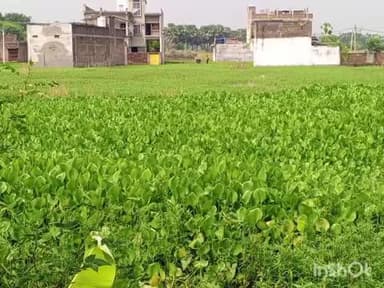 बरियारपुर: अस्थाई रूप से जल जमाव निकासी का निदान नहीं हो सका