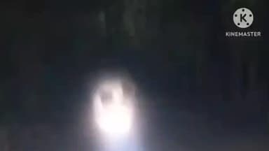 ঝাড়গ্রাম: মানিকপাড়া রেঞ্জ এলাকায় ফের হাতির তাণ্ডবে আতঙ্ক ছড়াল এলাকায়, আতঙ্কিত এলাকার মানুষজন, মাথায় হাত চাষীদের