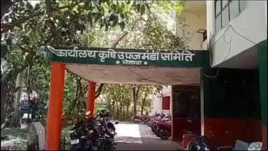 सैलाना: कृषि उपज मंडी सैलाना में आज सोयाबीन ₹1750 से ₹9000 प्रति क्विंटल बिका, अन्य उपज की भी हुई आवक