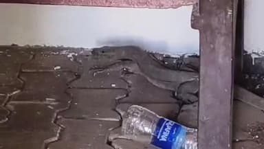 ಕಾರವಾರ: ನಗರದ ಡಿಸಿ ಕಚೇರಿ ಬಳಿ ಅಪರೂಪದ ಉಡ ಪ್ರತ್ಯಕ್ಷ