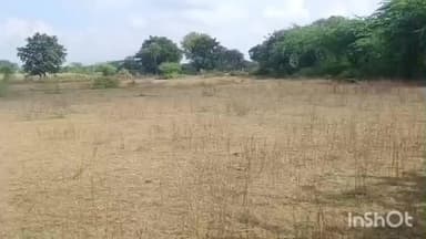 बड़गांव: उदयपुर में बुजुर्ग किसान से धोखाधड़ी, एक बीघा के नाम पर पूरी जमीन हड़पी, अब दे रहा धमकियां