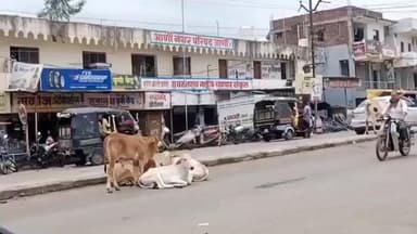 आर्णी: आज दुसऱ्या दिवशी कोणत्याही उमेदवारांनी भरला नाही नामनिर्देशन पत्र