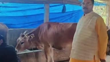 ଘସିପୁରା: ବିଜେପି କୃଷକ ମୋର୍ଚ୍ଚା ରାଜ୍ୟ ସଭାପତି ଶ୍ରୀ ମହେଶ୍ଵର ସାହୁ ହାଟଡିହି ଠାରେ ନିତ୍ୟାନନ୍ଦ ପହି ଙ୍କ ଫାର୍ମ ହାଉସ୍ ପରିଦର୍ଶନ