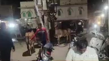 जैसलमेर: गांधी चौक में ट्रांसफार्मर नहीं हटने पर व्यापारियों ने जताया रोष, प्रशासन और जनप्रतिनिधियों को 7 दिन का दिया अल्टीमेटम