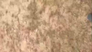 হুড়া: মোবাইলে আসক্ত যুব সমাজকে মাঠমুখি করতে রখেড়া বিশপুরিয়া অঞ্চল তৃনমুল কংগ্রেসের উদ্যোগে ২ দিন ব্যাপী ফুটবল খেলার আয়োজন