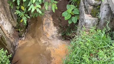 കോഴിക്കോട്: മുക്കം കാപ്പുമല വളവിൽ രാത്രിയുടെ മറവിൽ സാമൂഹിക വിരുദ്ധർ കക്കൂസ് മാലിന്യം തള്ളി, ദുരിതം പേറി പ്രദേശവാസികളും യാത്രക്കാരും