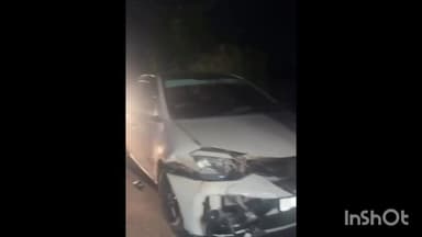 പാലക്കാട്: പാലക്കാട് കാവിൽ പാട് ബൈപ്പാസിൽ കാർ ഇടിച്ച് പന്നി ചത്തു, കാറിനും തകർച്ച