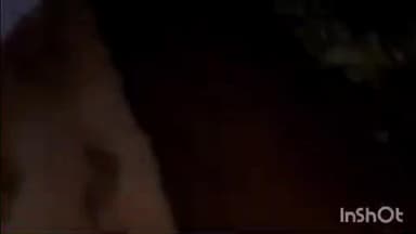 रायपुर कर्चुलियान: रीवा पहाड़िया में BSNL ठेकेदार की लापरवाही से आधी रात सड़क पर उतरे ग्रामीण, हुए परेशान