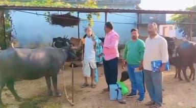 గాంధారి: రాంపూర్ గడ్డలో పశువులకు ఉచితంగా టీకాలు, గాలికుంటు వ్యాధి సోగకుండా ముందస్తు జాగ్రత్తలు, పశు వైద్యాధికారి డాక్టర్ వేణు