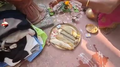 ଯାଜପୁର: ବ୍ୟାସନଗରର ପ୍ରତେକ ଘରେ ଓଡ଼ିଆ ପରମ୍ପରା ଅନୁଯାୟୀ ପ୍ରଥମାଷ୍ଟମୀ ଧୂମଧାମର ସହିତ ପାଳିତ