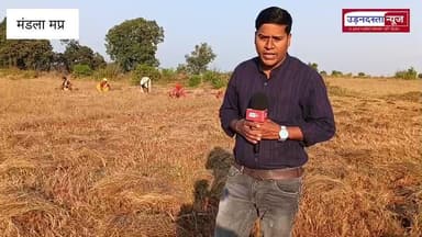 मंडला: आज आने वाली है लाड़ली बहना योजना की 30वीं किस्त रु 1500, 1.26 करोड़ लाड़ली बहनों को ₹1857 करोड़ का अंतरण