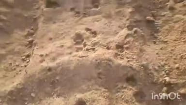 పూతలపట్టు: ఐరాల మండలంలోని అబ్బ గుండు వద్ద పులి అడుగుజాడలు గుర్తించిన స్థానికులు