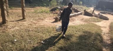 छोटे बच्चे के द्वारा पेड़ पौधा के प्रति रुची,