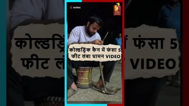 कैन में फंसा 5 फीट लंबा सांप! स्नेक कैचर ने बचाया जान #BreakingNews #SnakeRescue