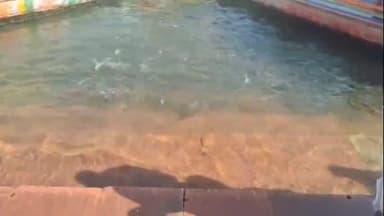 पुनासा: विधायक छाया मोरे साध्वी सत्यप्रिया दीदी की नर्मदा परिक्रमा के शुभारंभ में हुईं शामिल