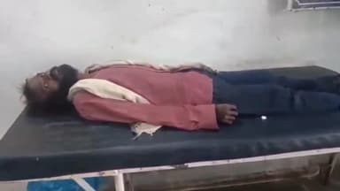 डिंडौरी: गैस गोदाम के पास धान काट रहे दो मजदूरों पर मधुमक्खियों का हमला, इलाज जारी